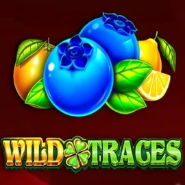 Try Wild Traces slot by Amusnet Interactive on millioner-casinos.com – logo image